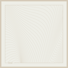 Load image into Gallery viewer, Silk Scarf